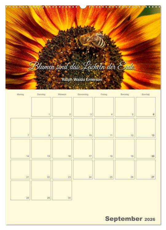 Produktbild: Gartenliebe (Wandkalender 2026 DIN A2 hoch), CALVENDO Monatskalender