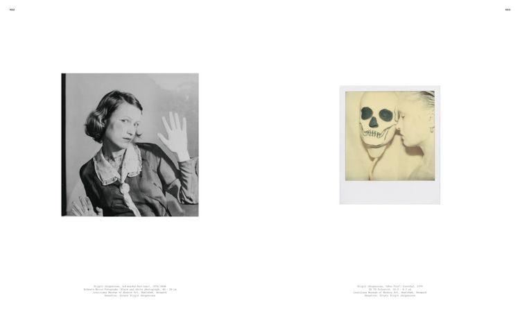 Produktbild: Louisiana Visits Franz Gertsch
