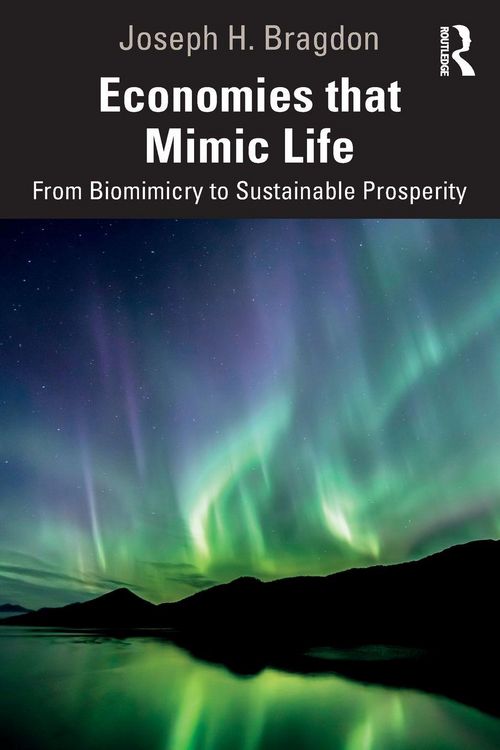 Produktbild: Economies that Mimic Life