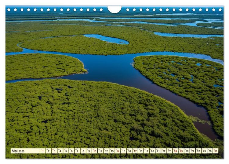 Produktbild: Typisch Brasilien (Wandkalender 2026 DIN A4 quer), CALVENDO Monatskalender