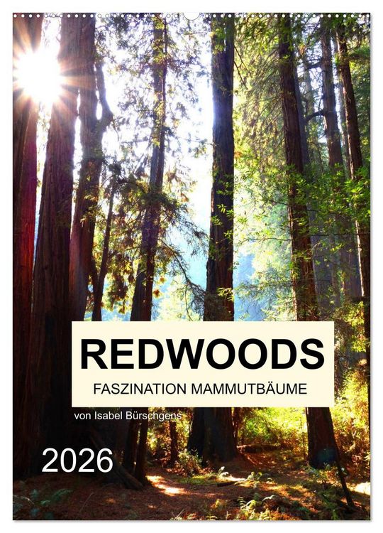 Produktbild: Redwoods - Faszination Mammutb&auml;ume (Wandkalender 2026 DIN A2 hoch), CALVENDO Monatskalender
