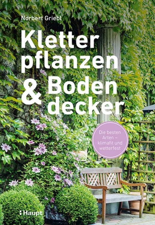 Produktbild: Kletterpflanzen und Bodendecker