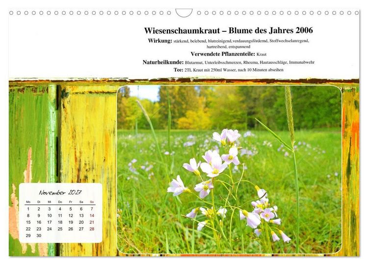 Produktbild: Gesundheit vor deiner Haust&uuml;re - Heilpflanzen am Alpenrand - Wirkung, Anwendungsbereiche und Teezubereitung (Wandkalender 2027 DIN A3 quer), CALVENDO Monatskalender