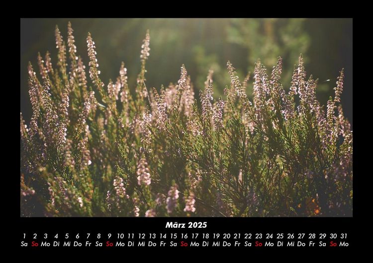 Produktbild: Pflanzen und Bl&uuml;ten 2025 Fotokalender DIN A3