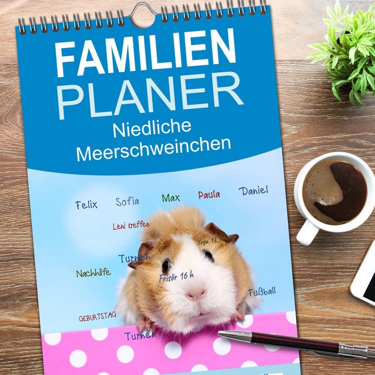 Produktbild: Familienplaner 2026 - Niedliche Meerschweinchen mit 5 Spalten (Wandkalender, 21 x 45 cm) CALVENDO