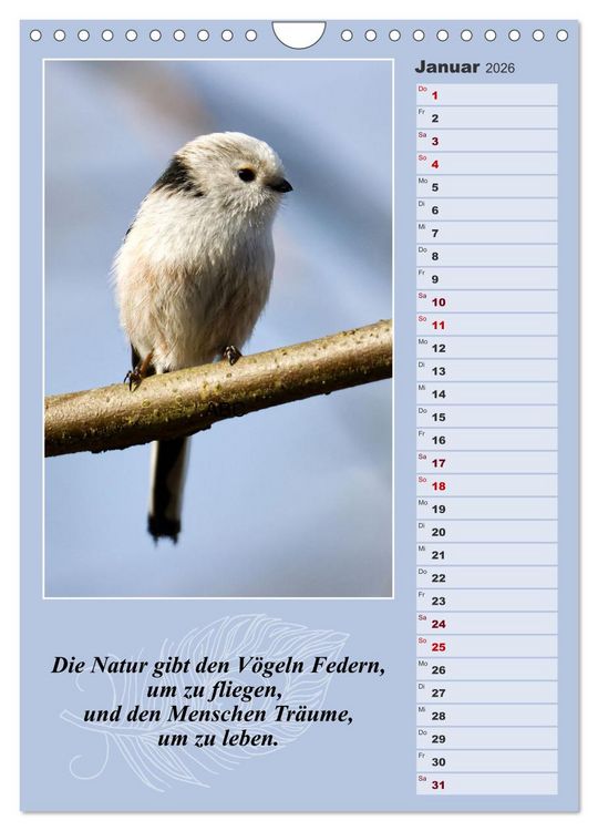 Produktbild: Schwanzmeisen, die niedlichen kleinen Pfannenstielchen (Wandkalender 2026 DIN A4 hoch), CALVENDO Monatskalender
