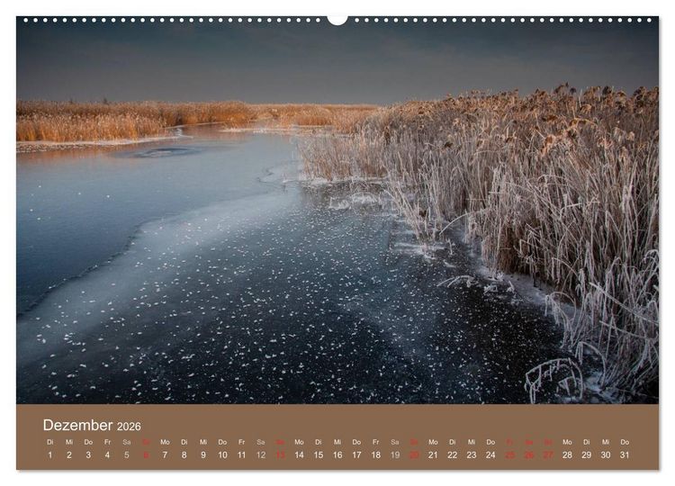 Produktbild: Der Federsee - Vogelparadies in Oberschwaben (hochwertiger Premium Wandkalender 2026 DIN A2 quer), Kunstdruck in Hochglanz