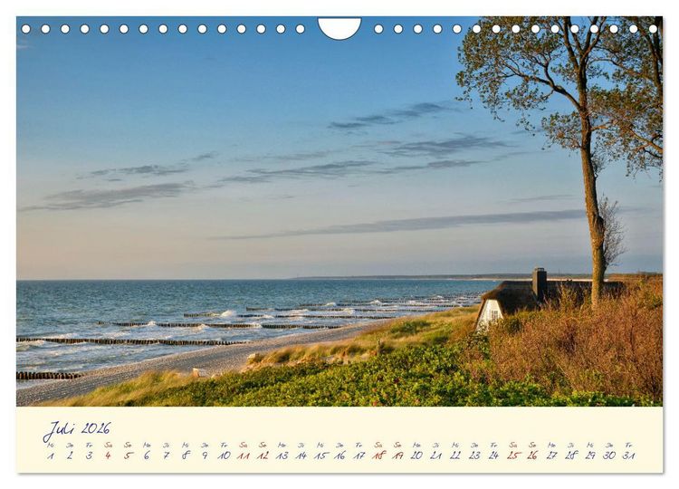 Produktbild: OSTSEEGL&Uuml;CK - Gl&uuml;cksmomente auf dem Dar&szlig; (Wandkalender 2026 DIN A4 quer), CALVENDO Monatskalender