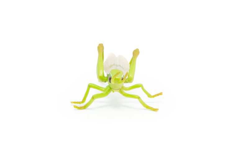 Produktbild: Spielfigur Heuschrecke 7cm