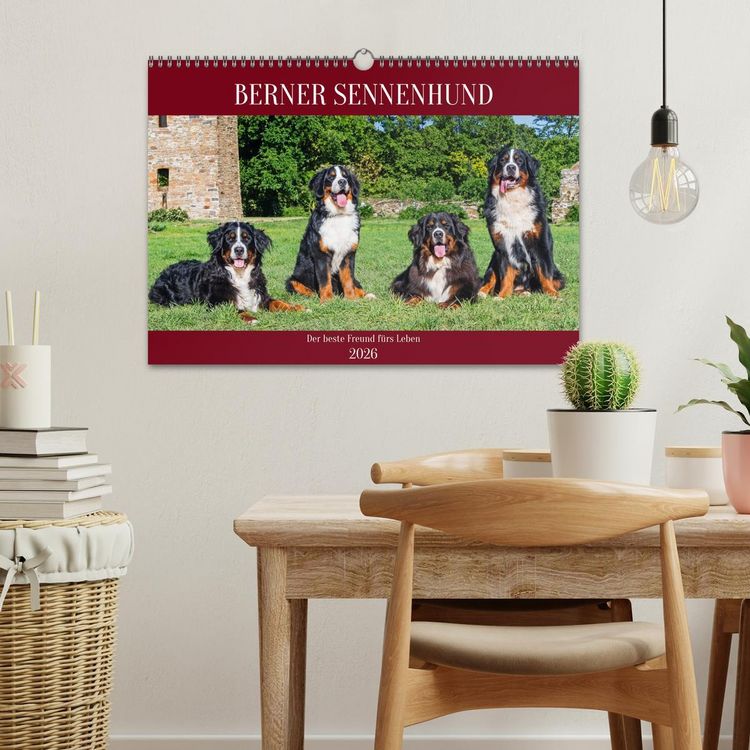 Produktbild: Berner Sennenhund - Der beste Freund f&uuml;rs Leben (Wandkalender 2026 DIN A3 quer), CALVENDO Monatskalender