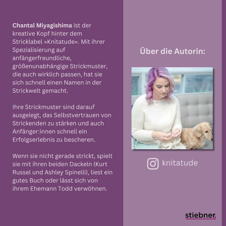 Produktbild: Pullover stricken ganz einfach