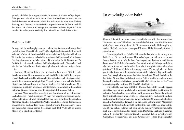 Produktbild: Kranichflug und Blumenuhr