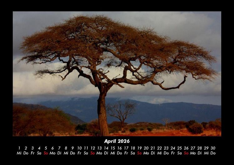 Produktbild: Natur 2026 Fotokalender DIN A3