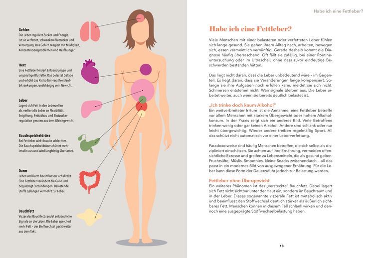 Produktbild: Airfryer Balance &ndash; Detox f&uuml;r die Leber