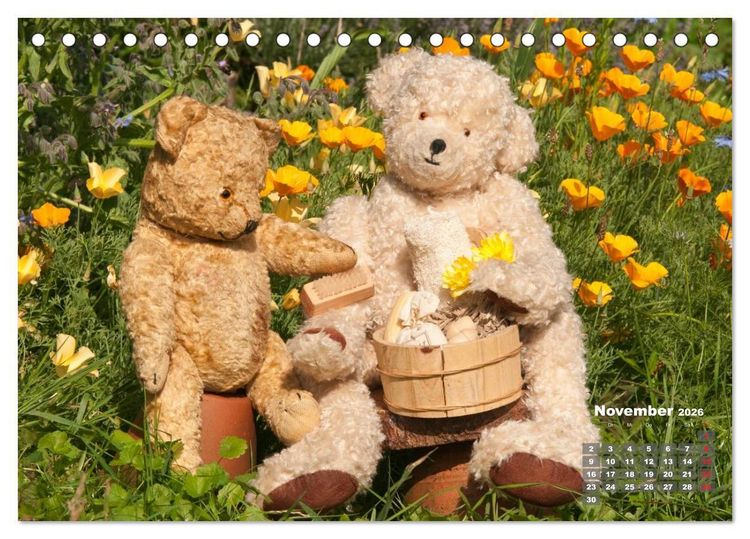 Produktbild: Geliebte B&auml;ren - Teddys (Tischkalender 2026 DIN A5 quer), CALVENDO Monatskalender