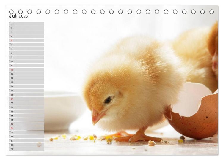 Produktbild: Tierisches aus der K&uuml;ken-Welt (Tischkalender 2026 DIN A5 quer), CALVENDO Monatskalender