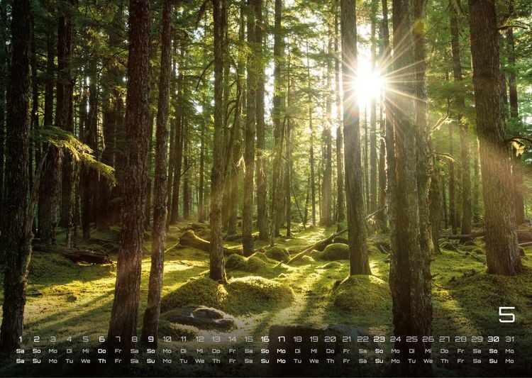 Produktbild: Moments - wundervolle Momentaufnahmen - 2027 - Kalender DIN A3