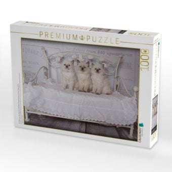 Produktbild: CALVENDO Puzzle Ein Motiv aus dem Kalender RAGDOLLS Impressionen aus der Kinderstube | 1000 Teile Lege-Gr&ouml;&szlig;e 64x48cm Foto-Puzzle f&uuml;r gl&uuml;ckliche Stunden