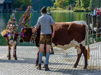 Produktbild: CALVENDO Puzzle Ein Motiv aus dem Kalender Servus am K&ouml;nigssee - Zu Besuch am bekanntesten Gebirgssee Bayerns | 1000 Teile Lege-Gr&ouml;&szlig;e 64x48cm Foto-Puz