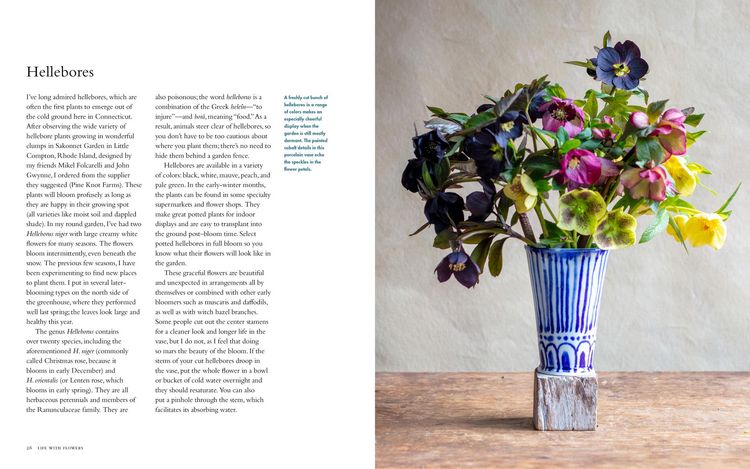 Produktbild: Life with Flowers