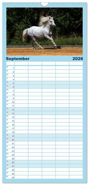 Produktbild: Familienplaner 2026 - Wei&szlig;e Pferde der Camargue in Bayern mit 5 Spalten (Wandkalender, 21 x 45 cm) CALVENDO