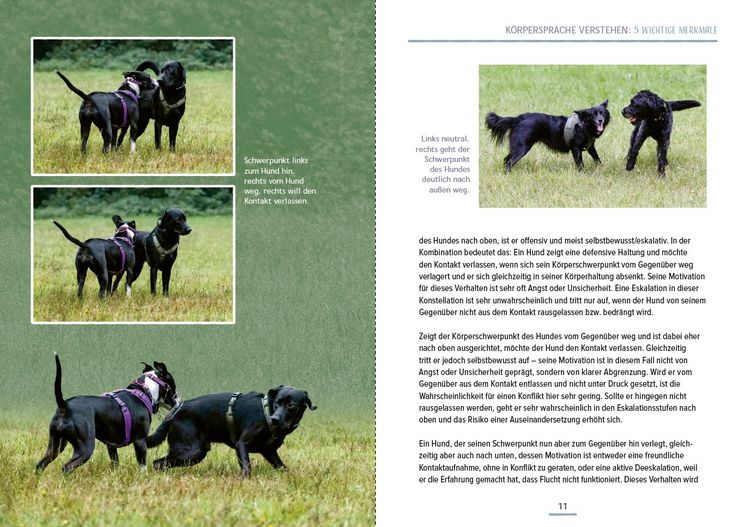 Produktbild: Das Hundesprachbuch
