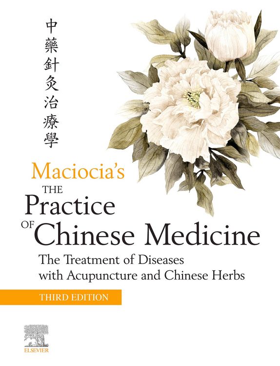 Produktbild: The Practice of Chinese Medicine E-Book