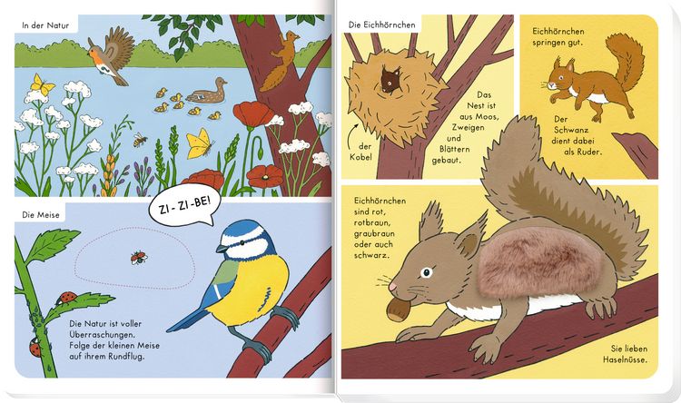 Produktbild: Mein F&uuml;hl-W&ouml;rterbuch: In der Natur (F&uuml;hlen&begr.)