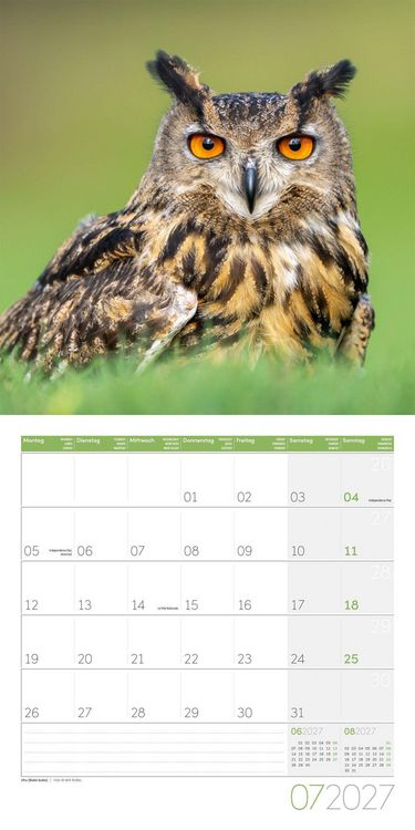 Produktbild: Eulen Kalender 2027 - 30x30 - Art12