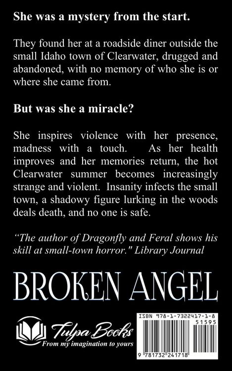Produktbild: Broken Angel