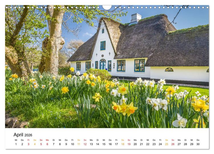 Produktbild: Sylter Friesenh&auml;user (Wandkalender 2026 DIN A3 quer), CALVENDO Monatskalender