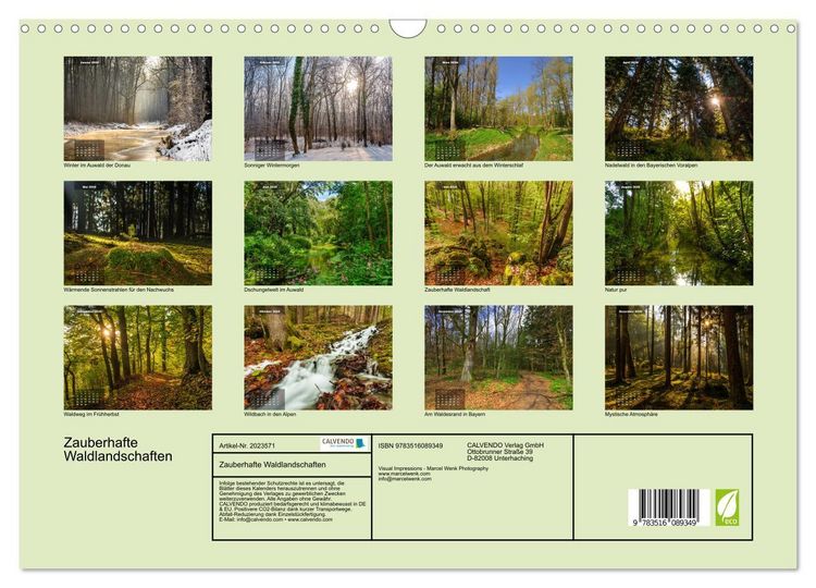 Produktbild: Zauberhafte Waldlandschaften (Wandkalender 2026 DIN A3 quer), CALVENDO Monatskalender