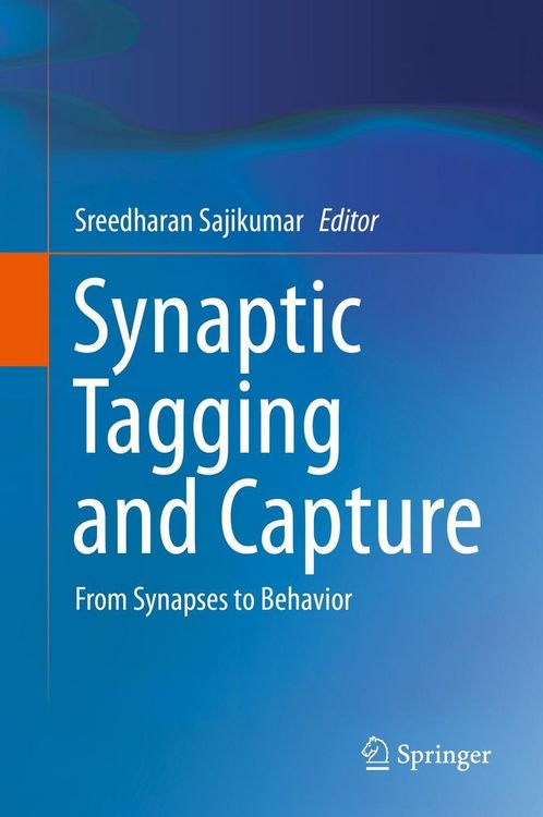 Produktbild: Synaptic Tagging and Capture