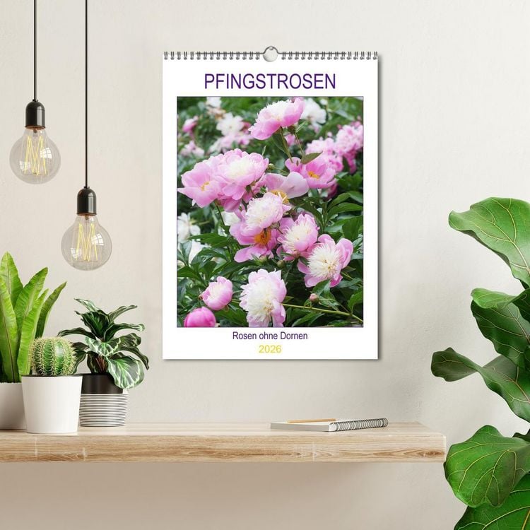 Produktbild: Pfingstrosen Rosen ohne Dornen (Wandkalender 2026 DIN A3 hoch), CALVENDO Monatskalender