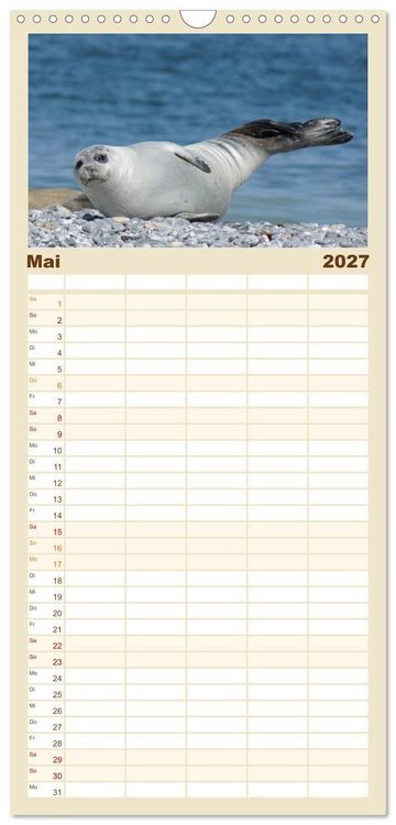 Produktbild: Familienplaner 2027 - Das Leben der Robben mit 5 Spalten (Wandkalender, 21 x 45 cm) CALVENDO