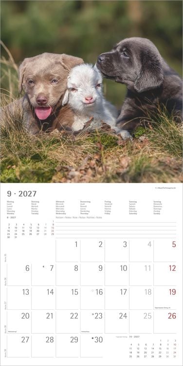 Produktbild: Tierfreundschaften 2027