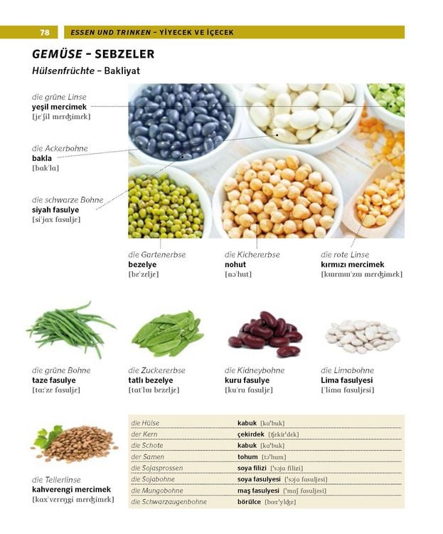 Produktbild: PONS Bildwörterbuch Türkisch