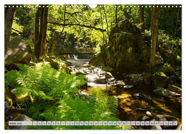 Produktbild: Splendeurs des Vosges (Calendrier mural 2026 DIN A3 vertical), CALVENDO calendrier mensuel