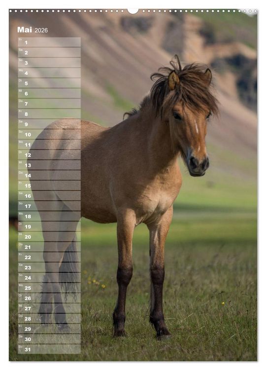 Produktbild: Mein ISLANDPFERDE Planer - Geburtstage, Hof-Feste, Turniere (Wandkalender 2026 DIN A2 hoch), CALVENDO Monatskalender