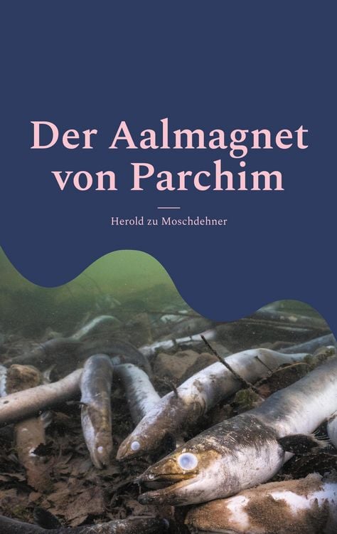 Produktbild: Der Aalmagnet von Parchim