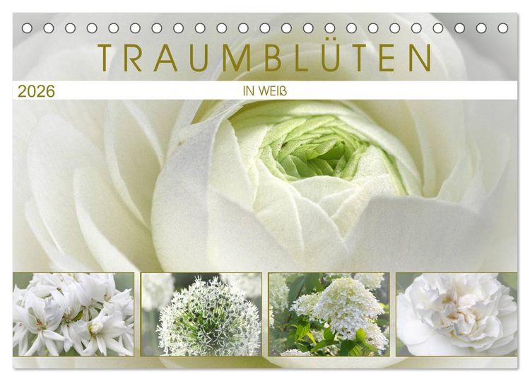 Produktbild: Traumbl&uuml;ten in Wei&szlig; (Tischkalender 2026 DIN A5 quer), CALVENDO Monatskalender