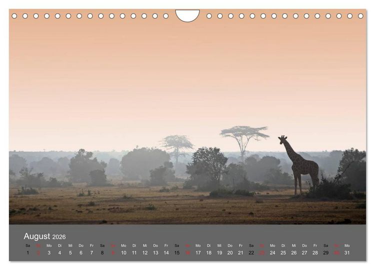 Produktbild: Ich tr&auml;umte von Afrika (Wandkalender 2026 DIN A4 quer), CALVENDO Monatskalender