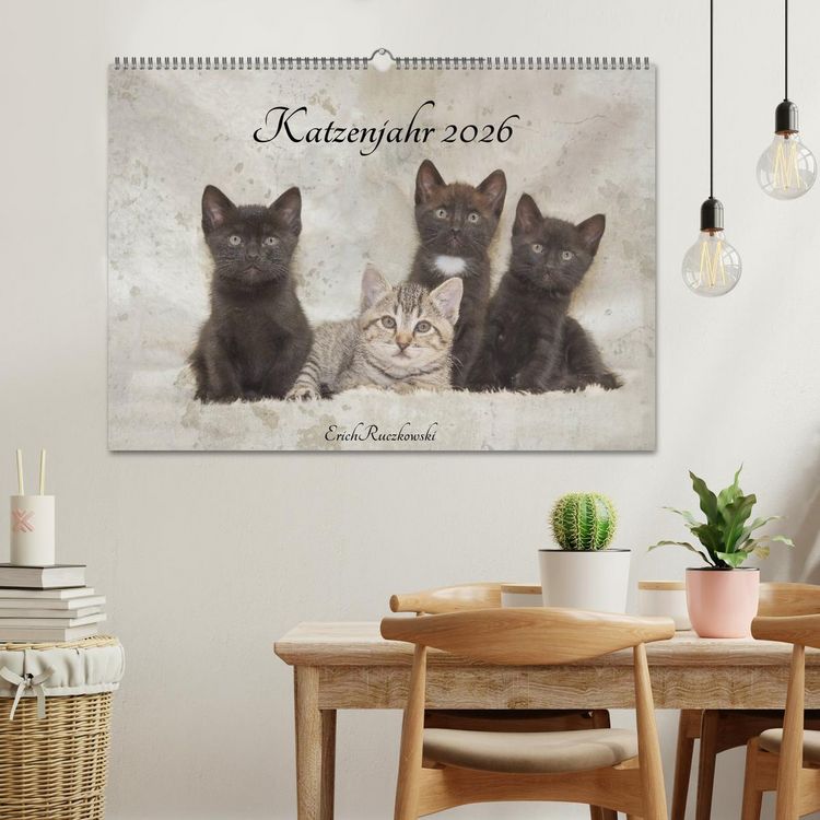 Produktbild: Katzenjahr 2026 (Wandkalender 2026 DIN A2 quer), CALVENDO Monatskalender