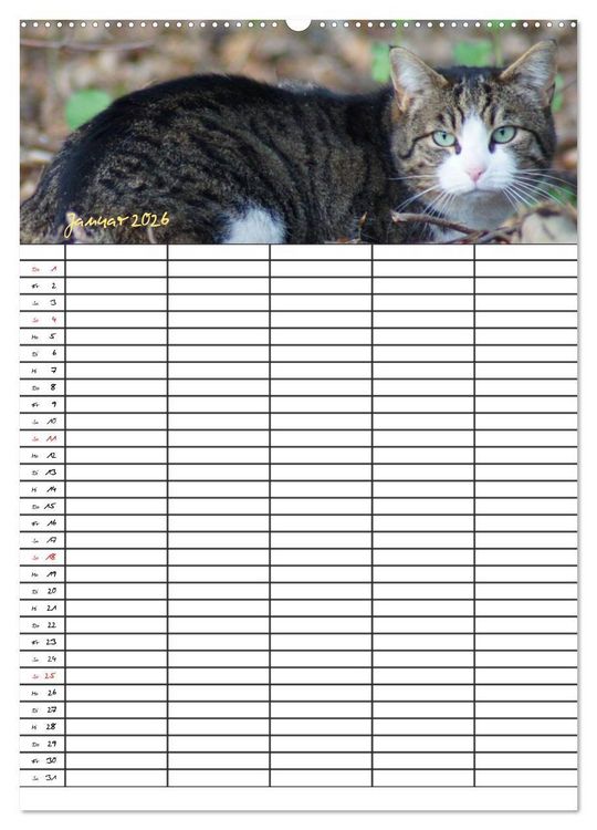 Produktbild: Bauernhoftiere Familienplaner (Wandkalender 2026 DIN A2 hoch), CALVENDO Monatskalender