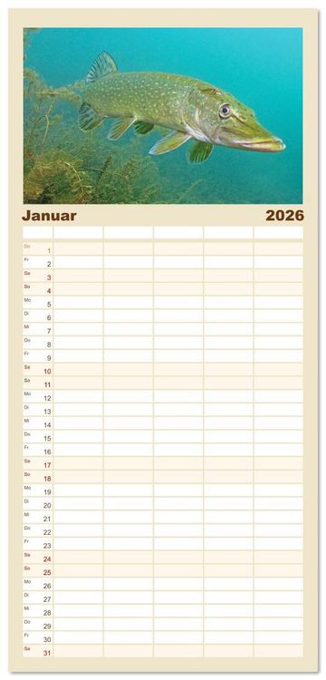 Produktbild: Familienplaner 2026 - Forelle, Hecht und St&ouml;r: Fische in europ&auml;ischen Gew&auml;ssern mit 5 Spalten (Wandkalender, 21 x 45 cm) CALVENDO