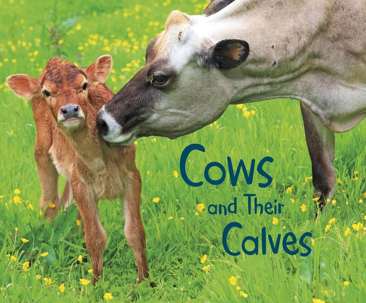 Produktbild: Cows and Their Calves