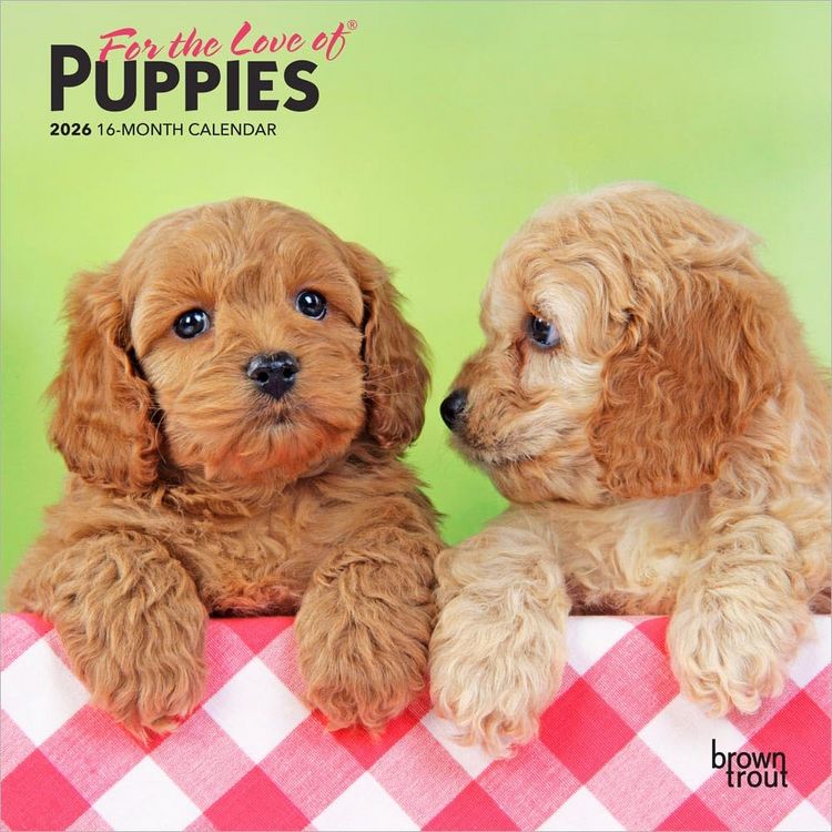 Produktbild: For the Love of Puppies 2026 7 X 14 Inch (Hanging) Monthly Mini Wall Calendar