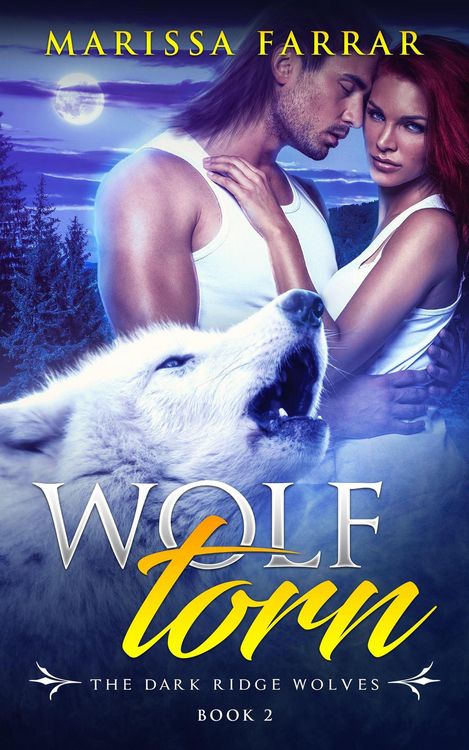 Produktbild: Wolf Torn (The Dark Ridge Wolves, #2)