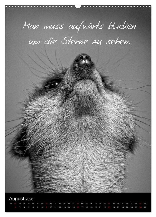 Produktbild: Kluge Spr&uuml;che in Schwarz-Wei&szlig; (hochwertiger Premium Wandkalender 2026 DIN A2 hoch), Kunstdruck in Hochglanz