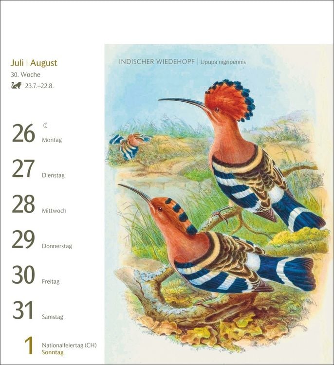 Produktbild: V&ouml;gel Postkartenkalender 2027 - Postkartenkalender mit 53 historischen Zeichnungen